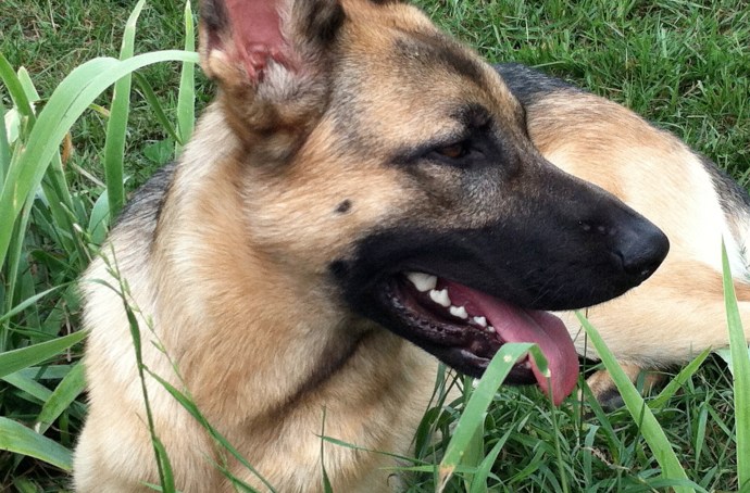 VarageSale - Community Story