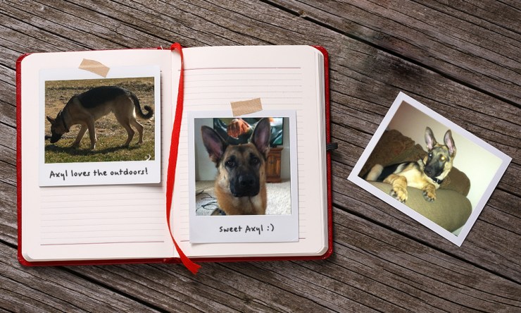 VarageSale - Community Story