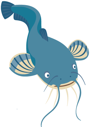 Catfish | VarageSale