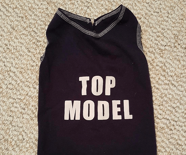 Top model dog t-shirt | VarageSale