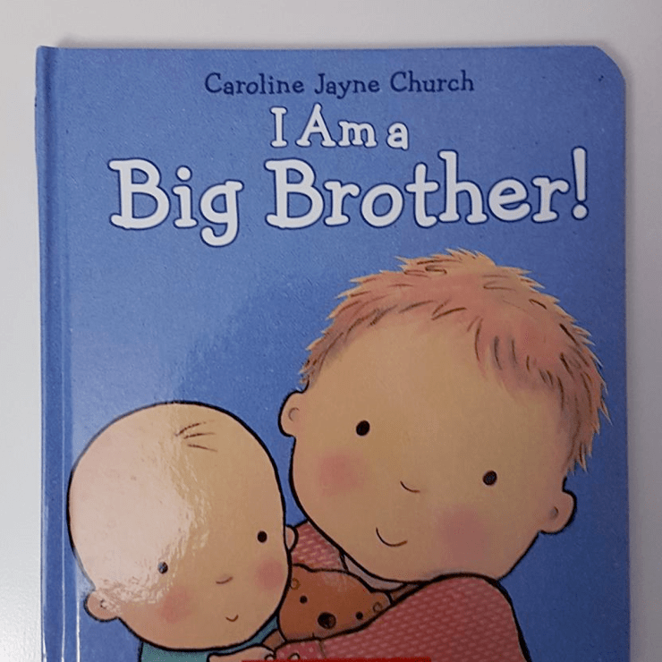 I am a big brother book | VarageSale